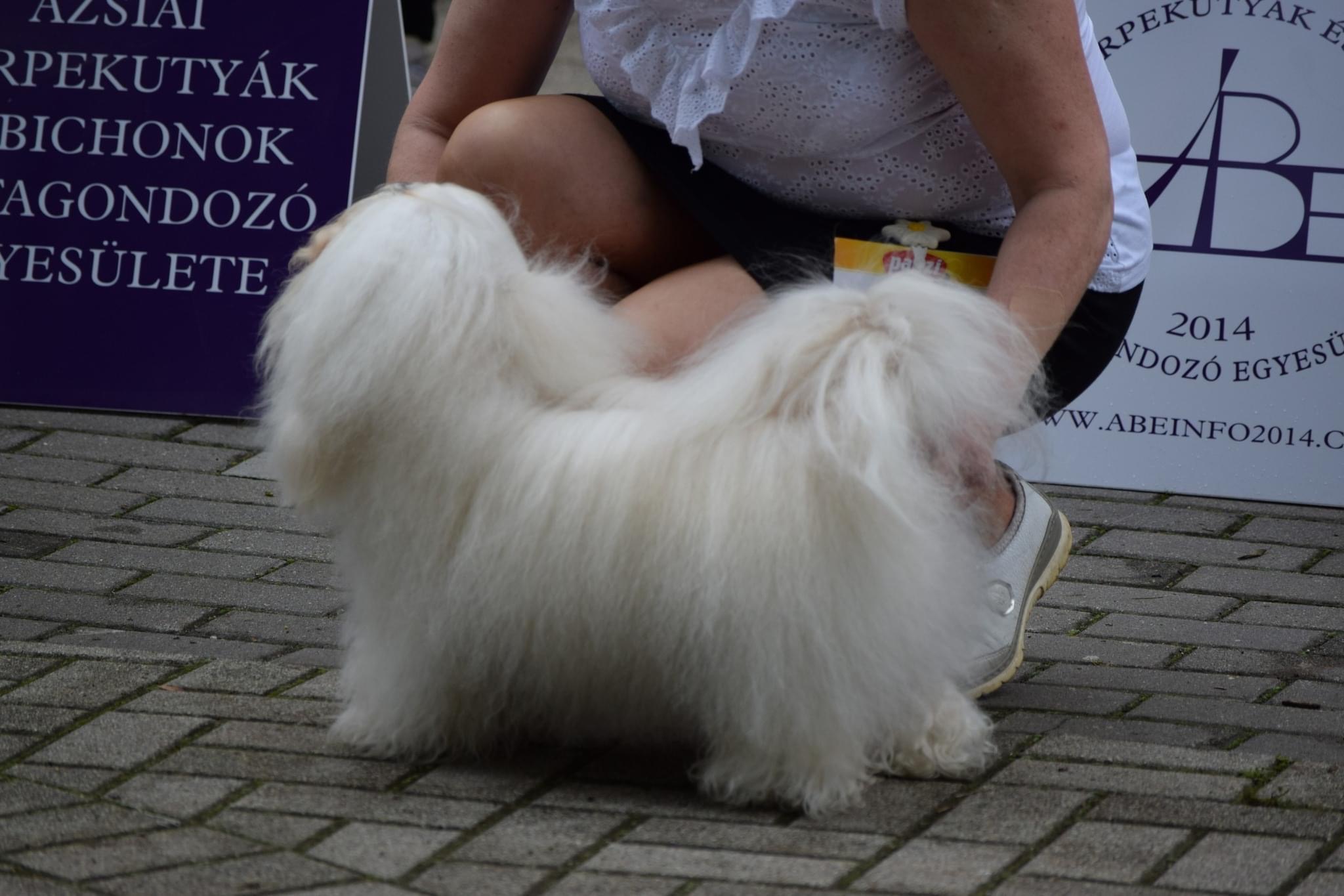 photo_
