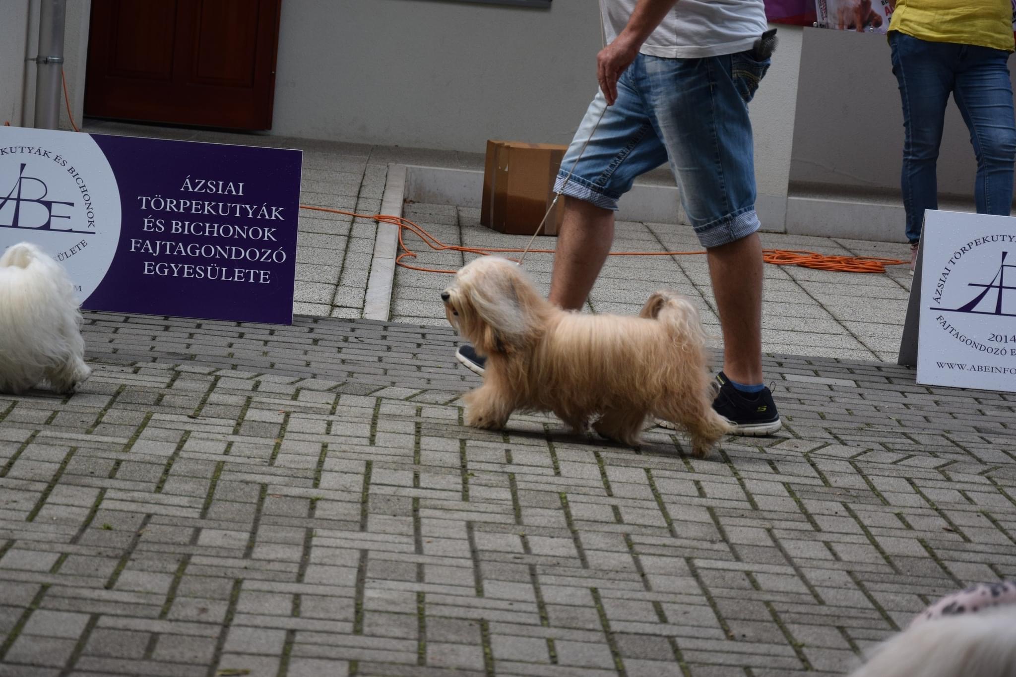 photo_