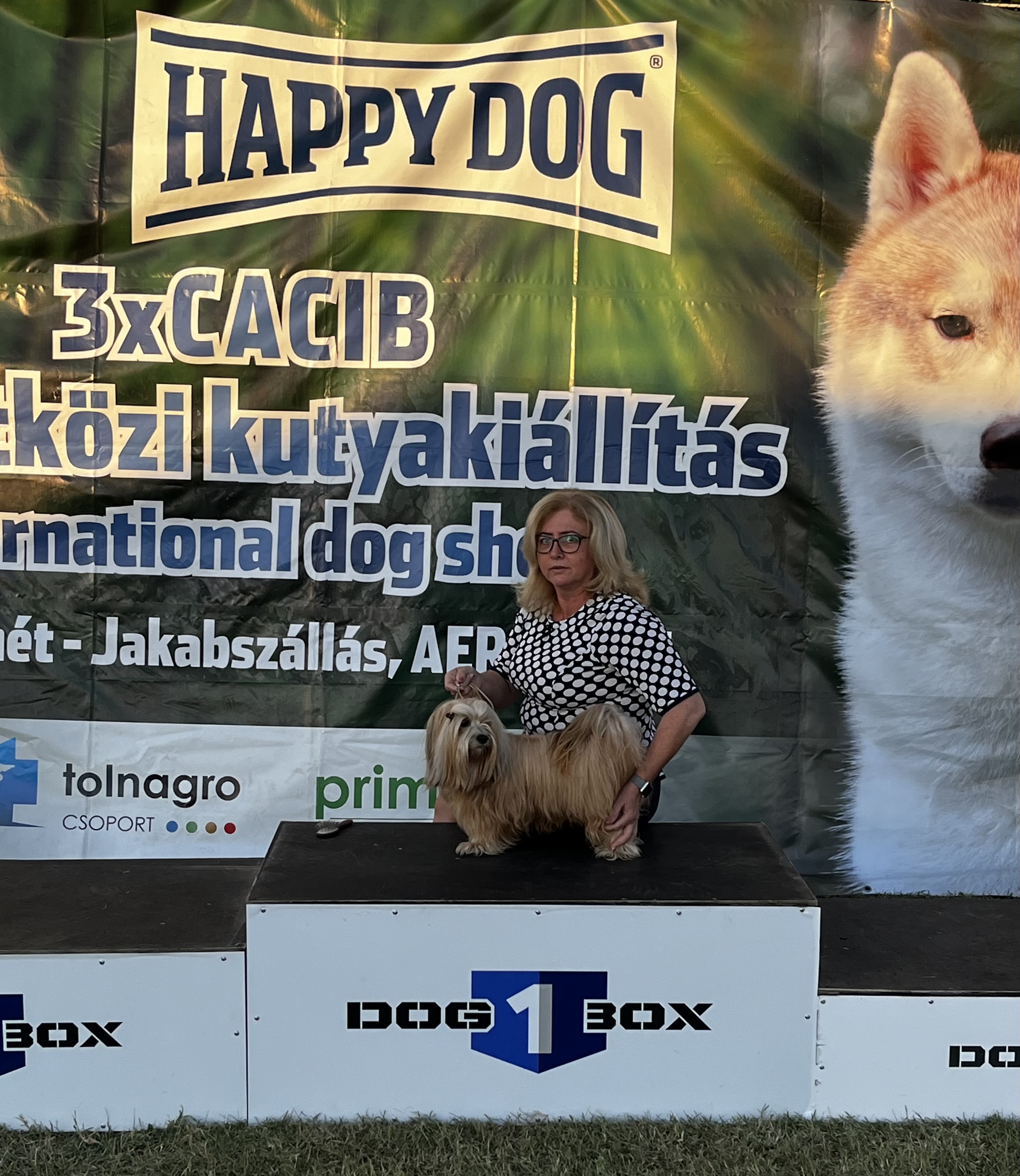 photo_