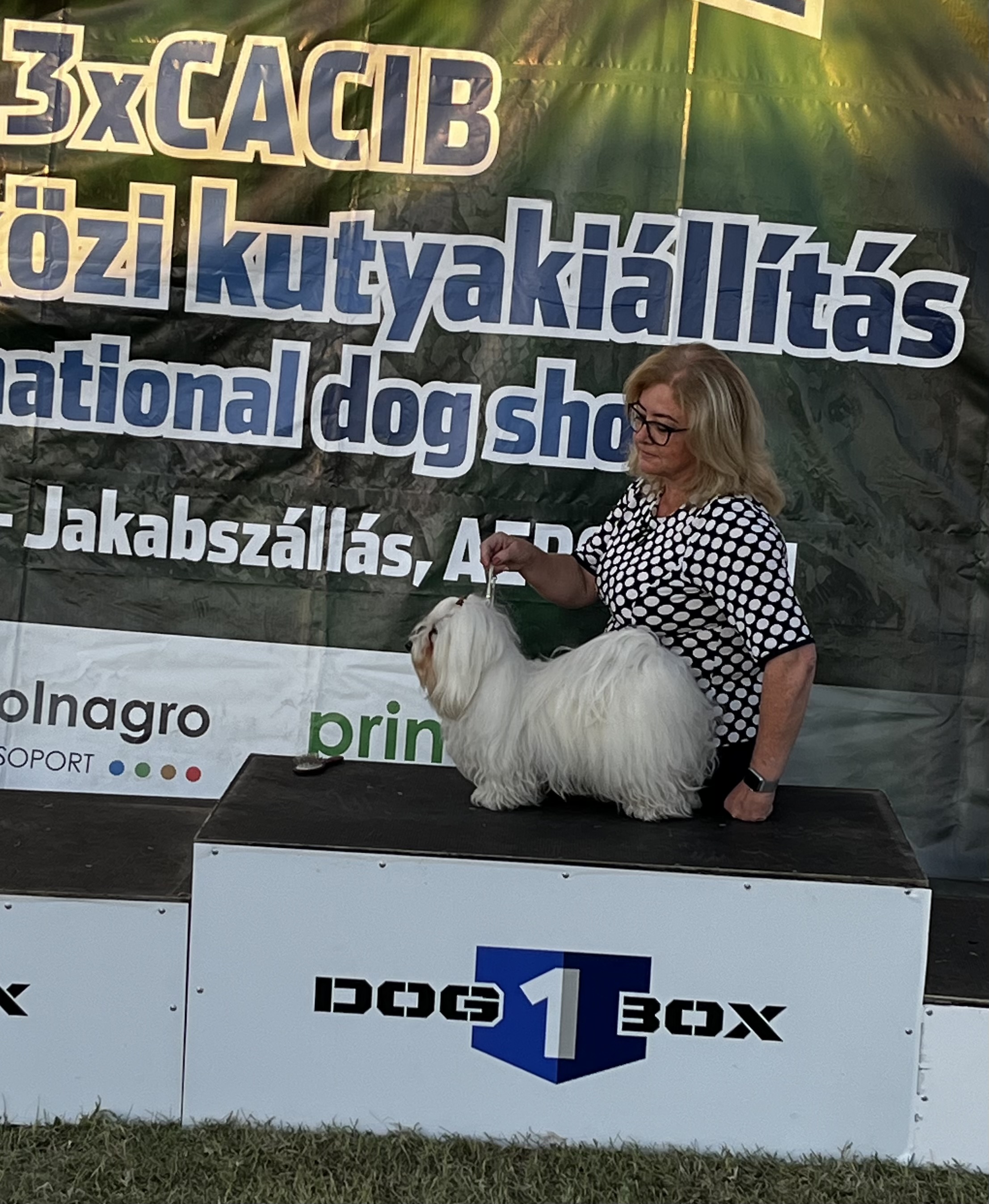 photo_