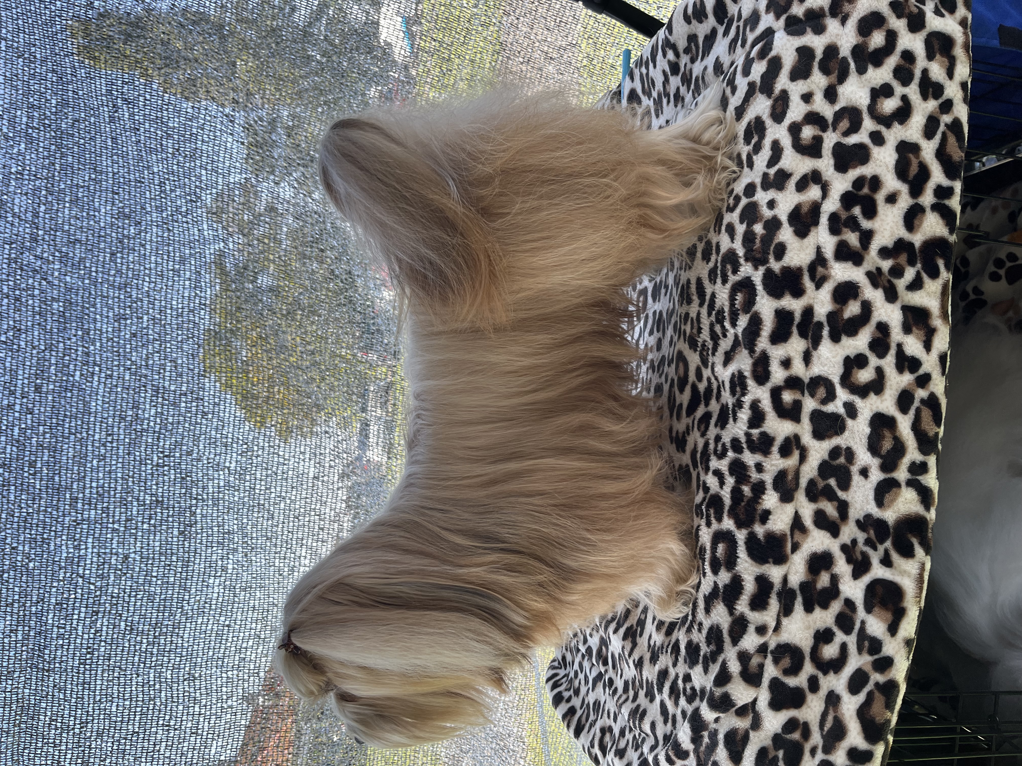 photo_